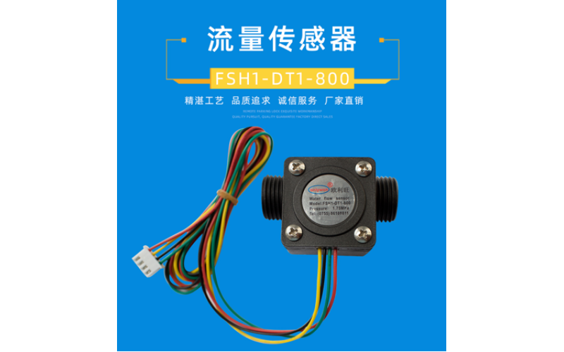 欧利旺流量传感器 FSH1-DT1-800